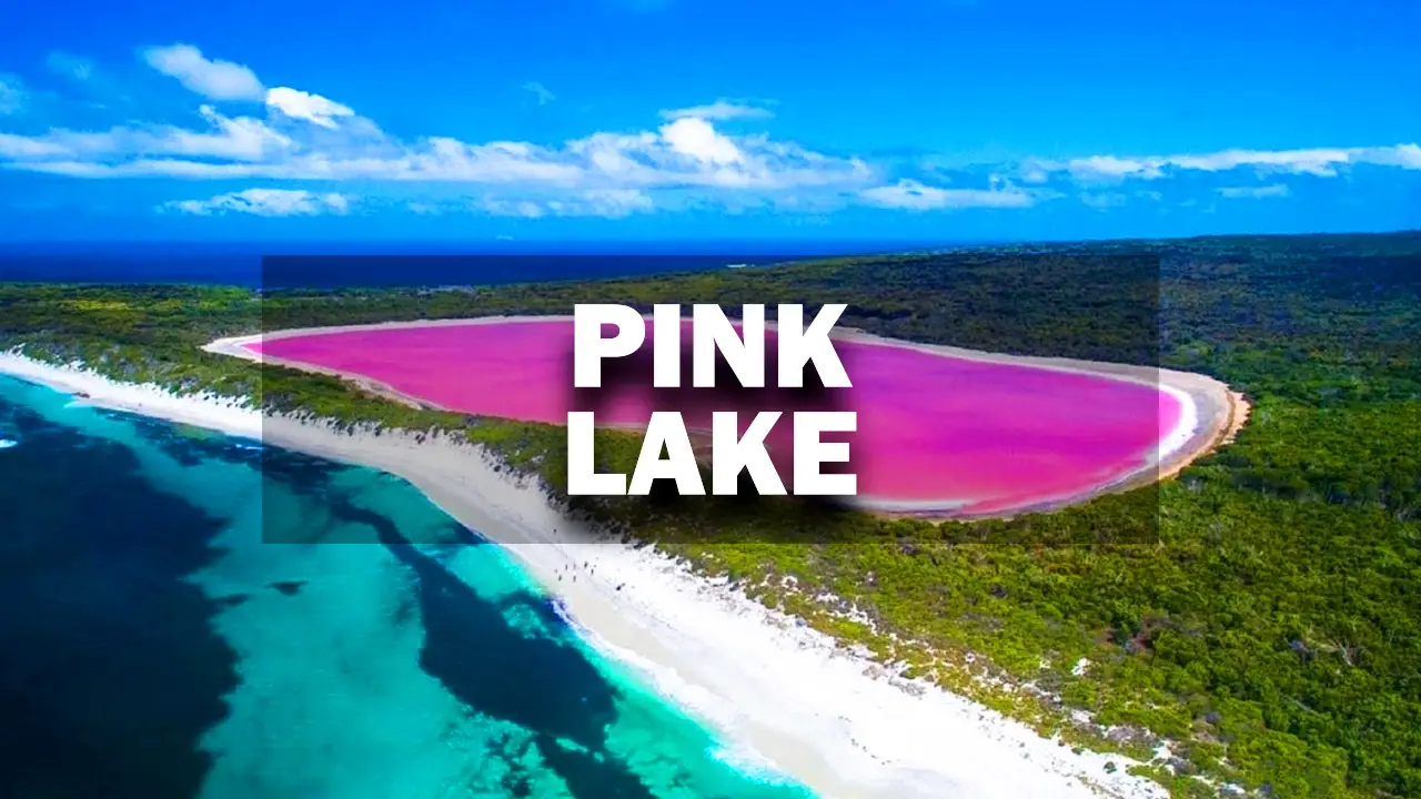 Discovering Pink Lake Hillier in Australia