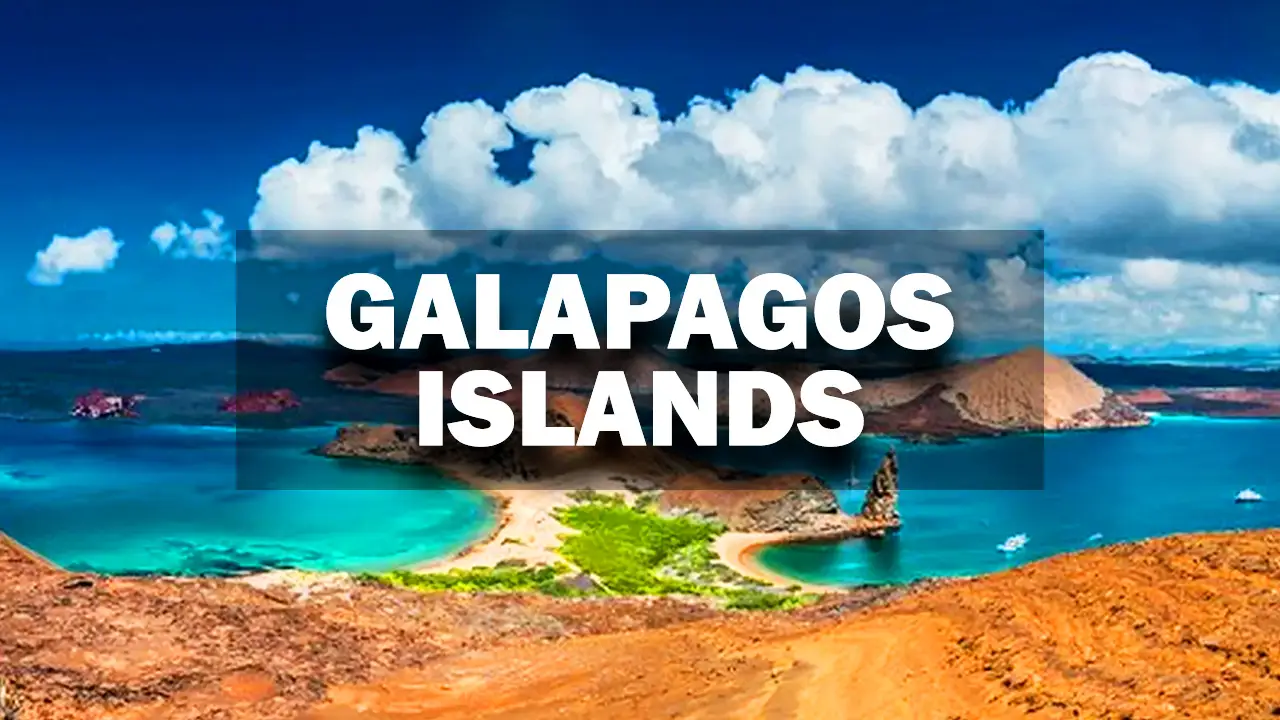 Discovering the Wonders of the Galapagos Islands