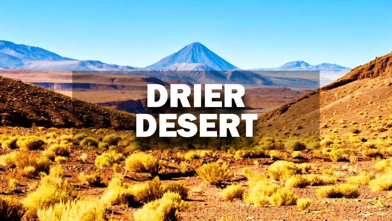 Discovering the Driest Desert in the World in Chile