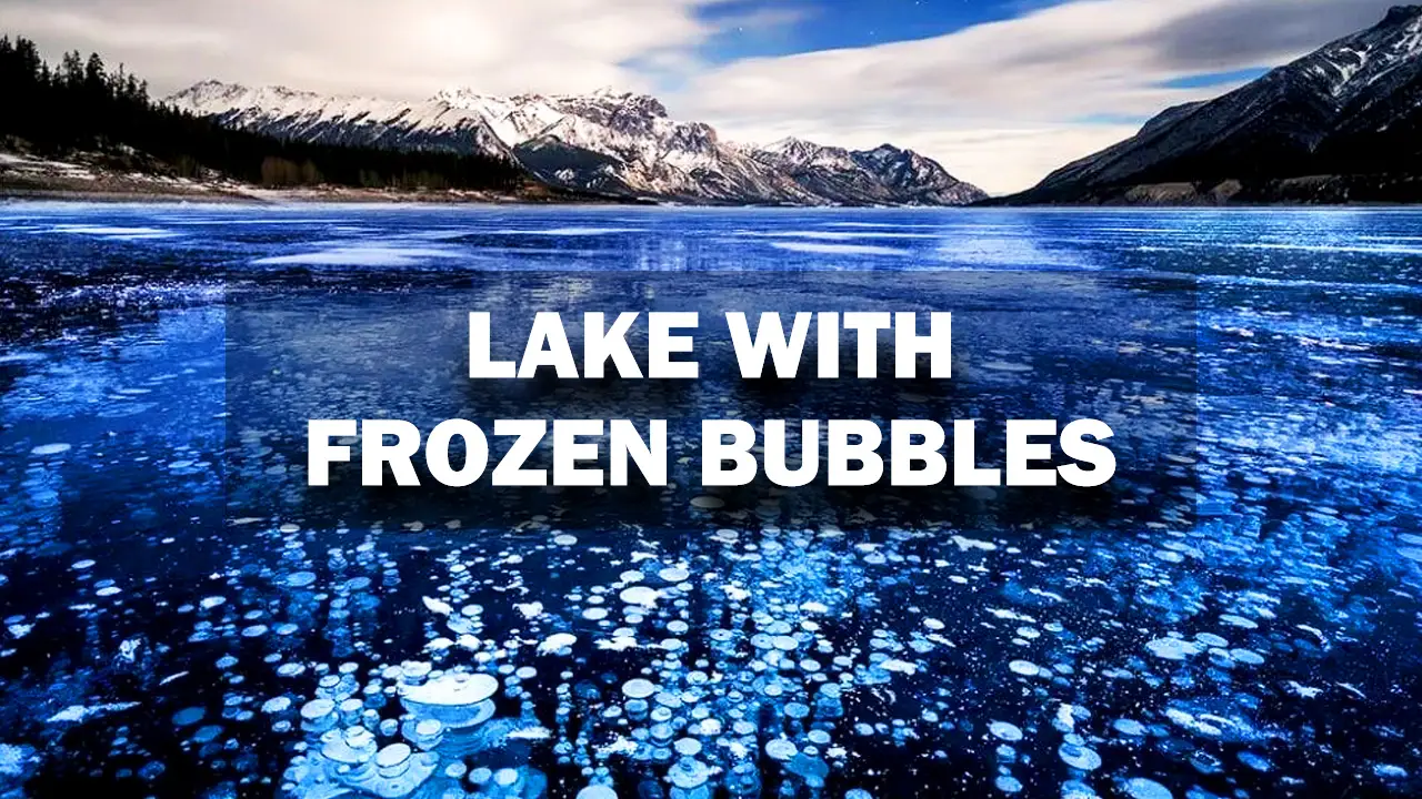 Discovering the Amazing Abraham Lake with Frozen Bubbles Show in Canada